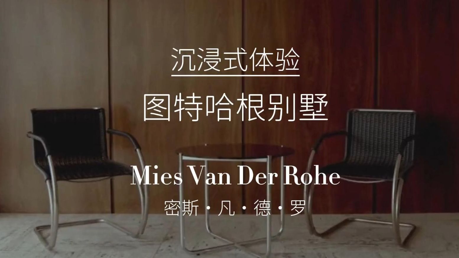 现代建筑大师密斯·凡·德·罗 - 图根哈特别墅