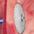 3D视频：卵圆孔未闭封堵术