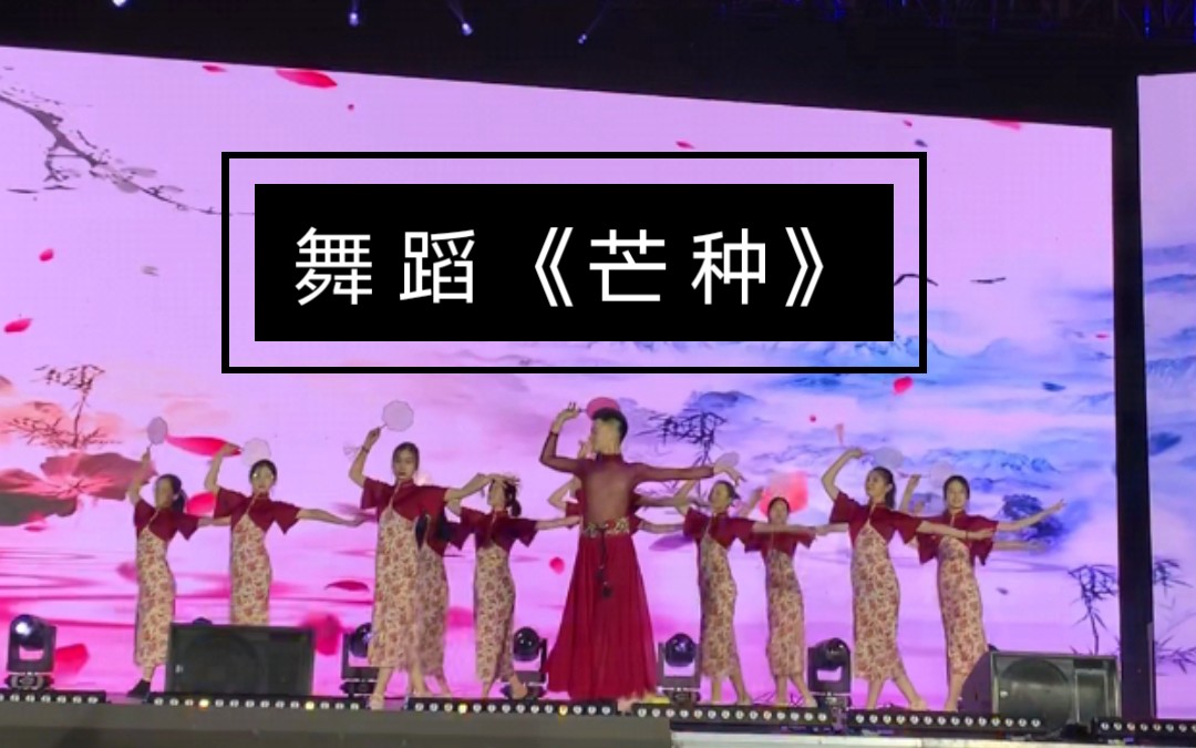 《芒种》年会节目 中国风爵士舞 群舞