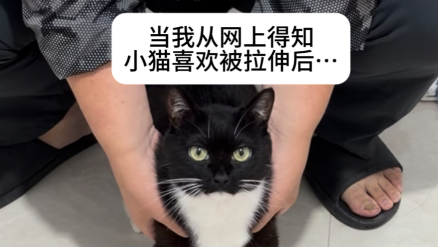 谁懂啊，爪爪开花也太可爱了吧！