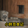吃饭就吃饭，你咋还偷偷摸摸的呢