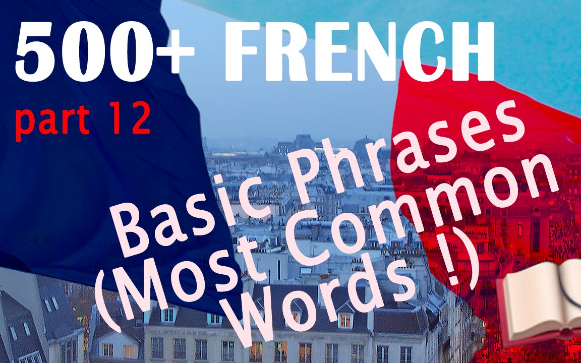 【系统学习法语常见词语短语】French Comprehensible Input  Most common words and sentences 12哔哩哔哩bilibili