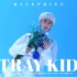 超清MV「STRAY KIDS」蓝图(BLUEPRINT)【官方中字】
