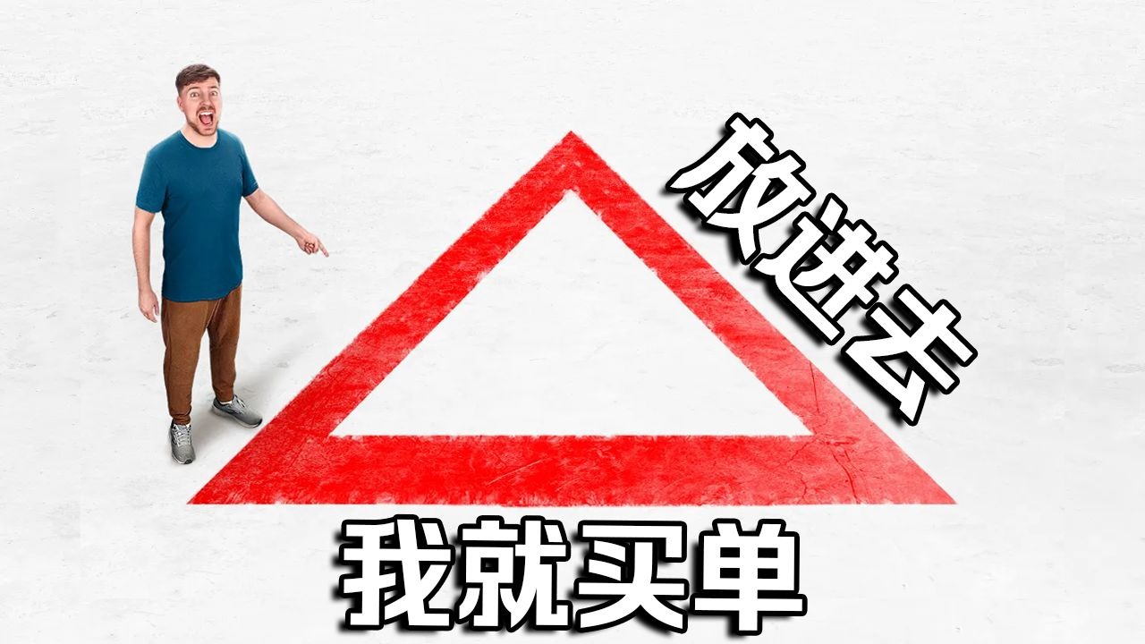 【MrBeast官方】凡是能塞进三角形里的东西，我来买单
