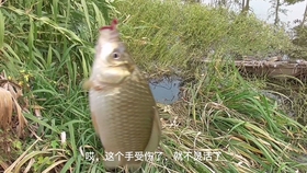 006d3f9f9f1143c2d82bd959c422107d0a7db71c.jpg@280w_158h_1c_100q.jpg