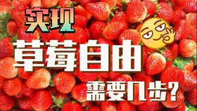 008b5e032cd804e3a3d1bd3429e32eca070ff59c.jpg@280w_158h_1c_100q.jpg