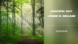 聆听纯音乐系列：Peaceful Day