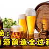 你知道啤酒是怎么酿造的吗，走进超级工厂，带你看看啤酒酿造的全过程