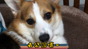 00b0c1a8517274a826a0bc0029d7b7034153098b.jpg@280w_158h_1c_100q.jpg