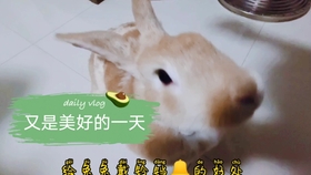 00ba172427fa9a815b5e94b8c60c780d58b70e5b.jpg@280w_158h_1c_100q.jpg