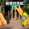 爸爸对不起