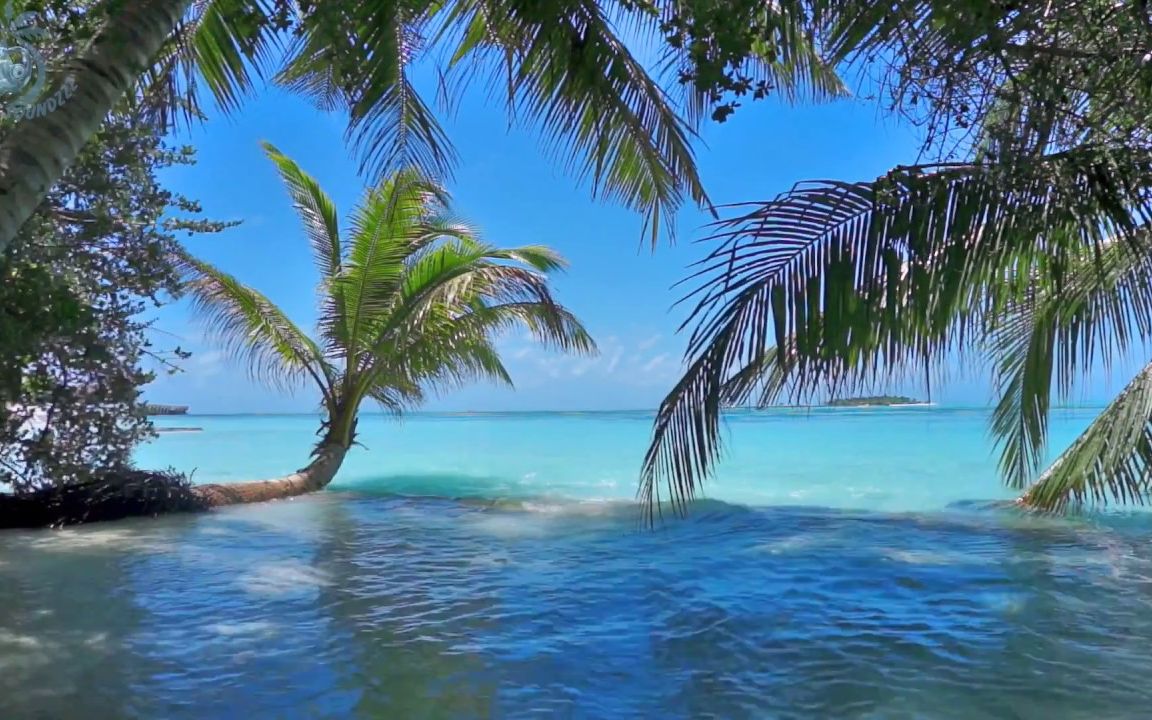 【白噪音】超长8小时马尔代夫午后海浪声|助眠，学习，冥想，放松