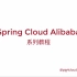 Spring Cloud Alibaba 系列教程