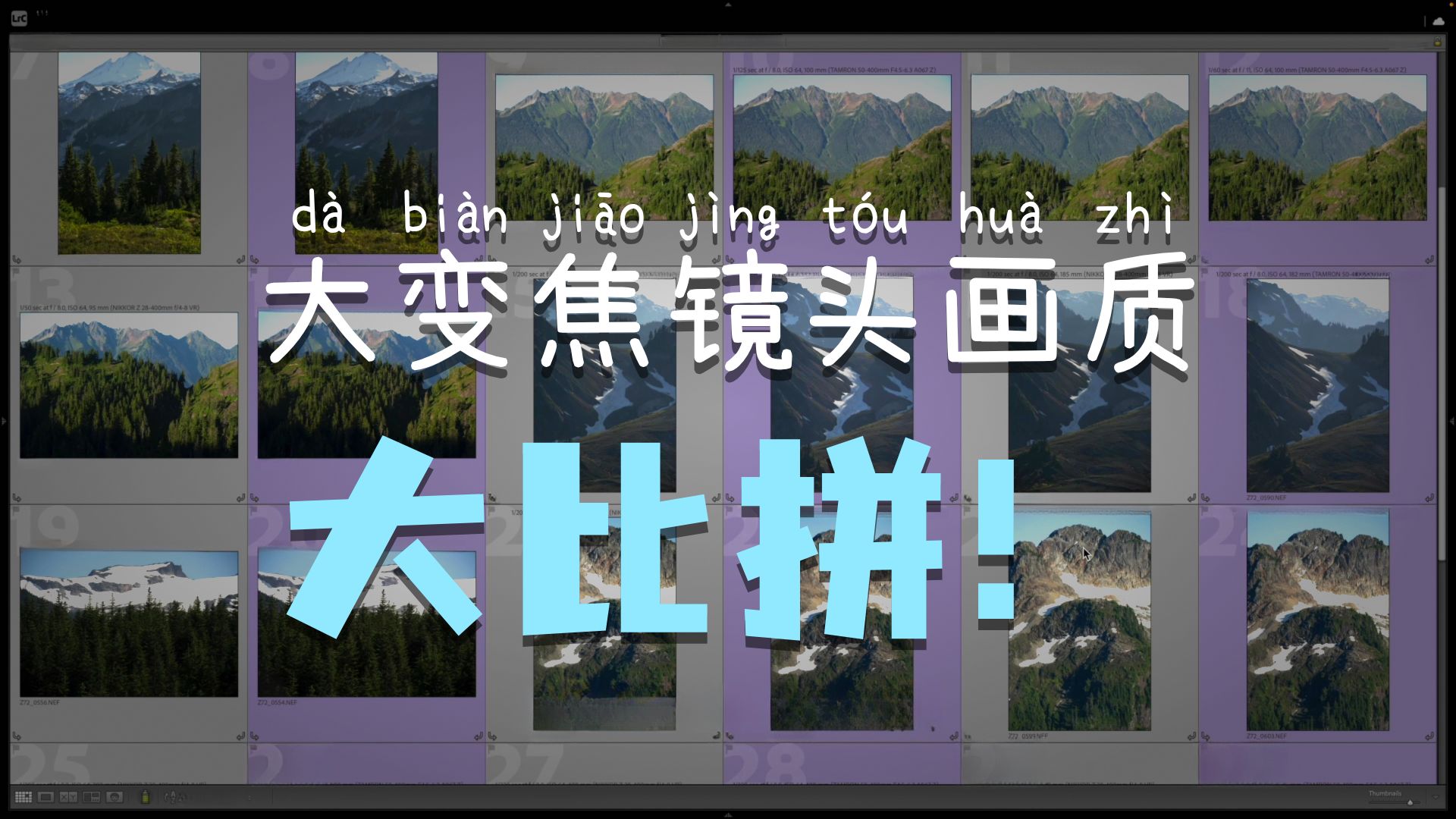 尼康 Z 28-400mm 对比腾龙 50-400mm - 图像质量评测