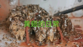 0113bb3e668196a76d148a883354b0c52b4285ac.jpg@280w_158h_1c_100q.jpg