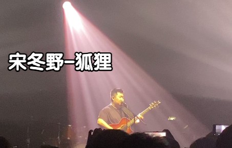 宋冬野狐狸原唱万晓利