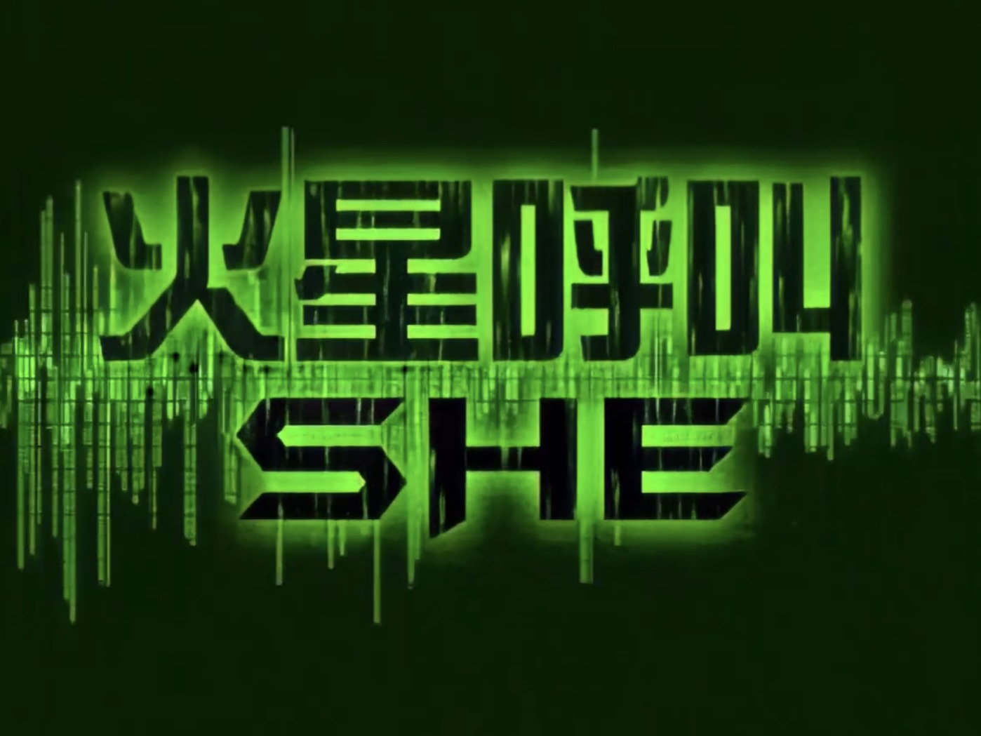 2010【S.H.E】FM S.H.E 台北演唱会Live全记录精华 DVD