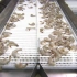 探访冻虾工厂，揭秘冷冻虾生产的全过程