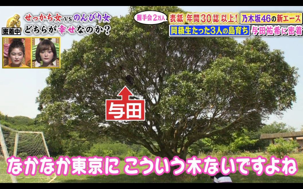与田 話 祐希 イイ 深
