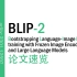 [论文速览]BLIP-2 ...with Frozen Image Encoders and Large Languag