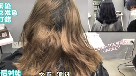 0169f46bf089efd19370140ee6e1e99360cbb36c.jpg@280w_158h_1c_100q.jpg