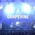 GRAPEVINE - Live at FUJI ROCK 2022