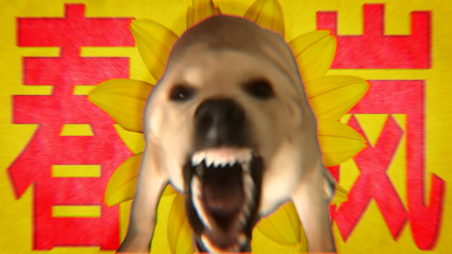 “🐶岚 叫🐶”