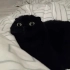 【吸猫】叮咚！您的好友黑煤球已上线 ins上最可爱最好看的黑猫