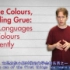 【油管搬运】【双语字幕】不同语言中的关于颜色表达的区别