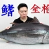 11070买一条82斤蓝鳍金枪鱼，经费再次爆表，一刀下去满手是油