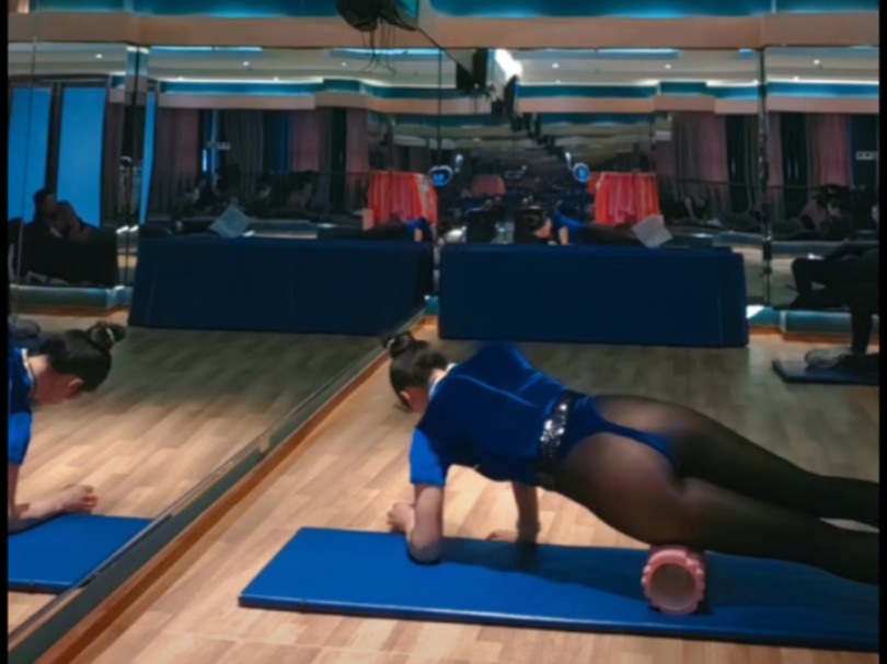 火烈鸟舍宾叶子老师，