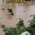 丹河泄洪现场