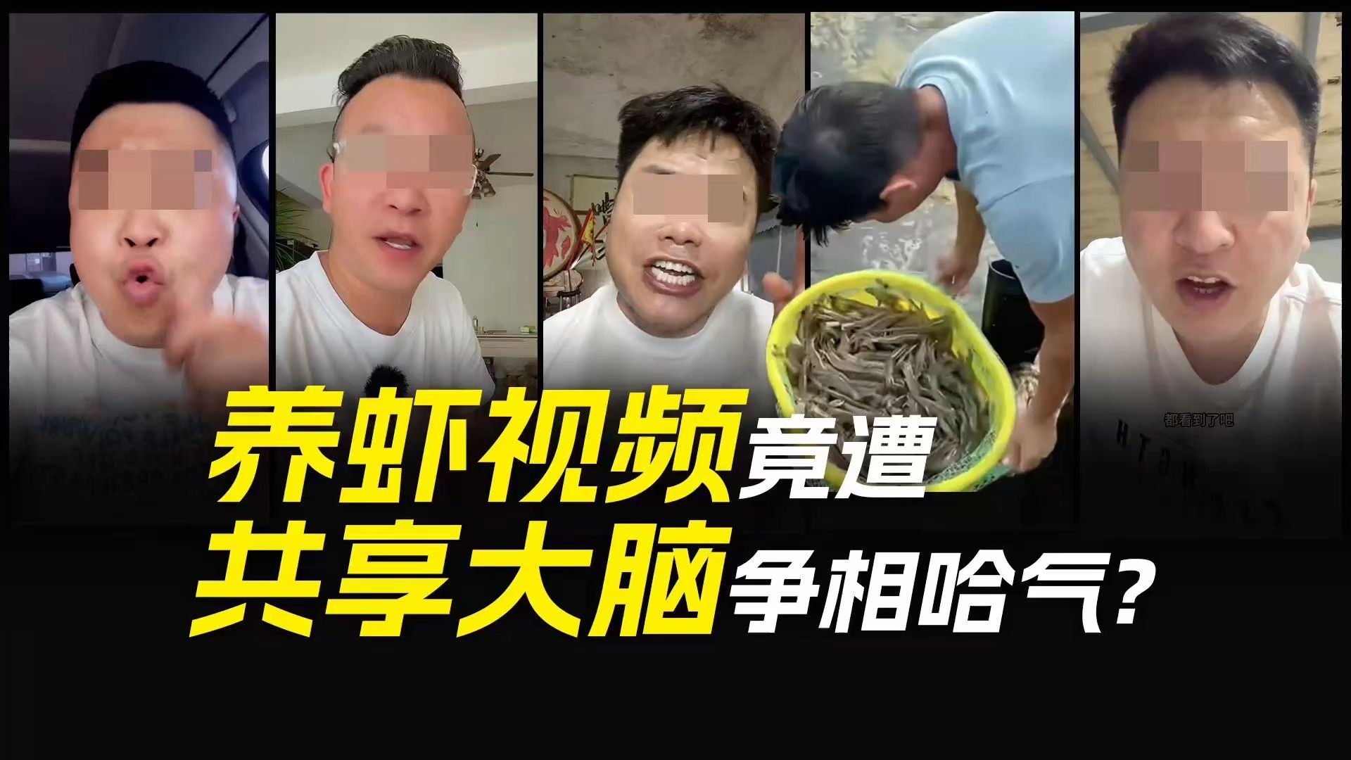 一条养虾视频，为何竟遭“共享大脑”争相哈气？