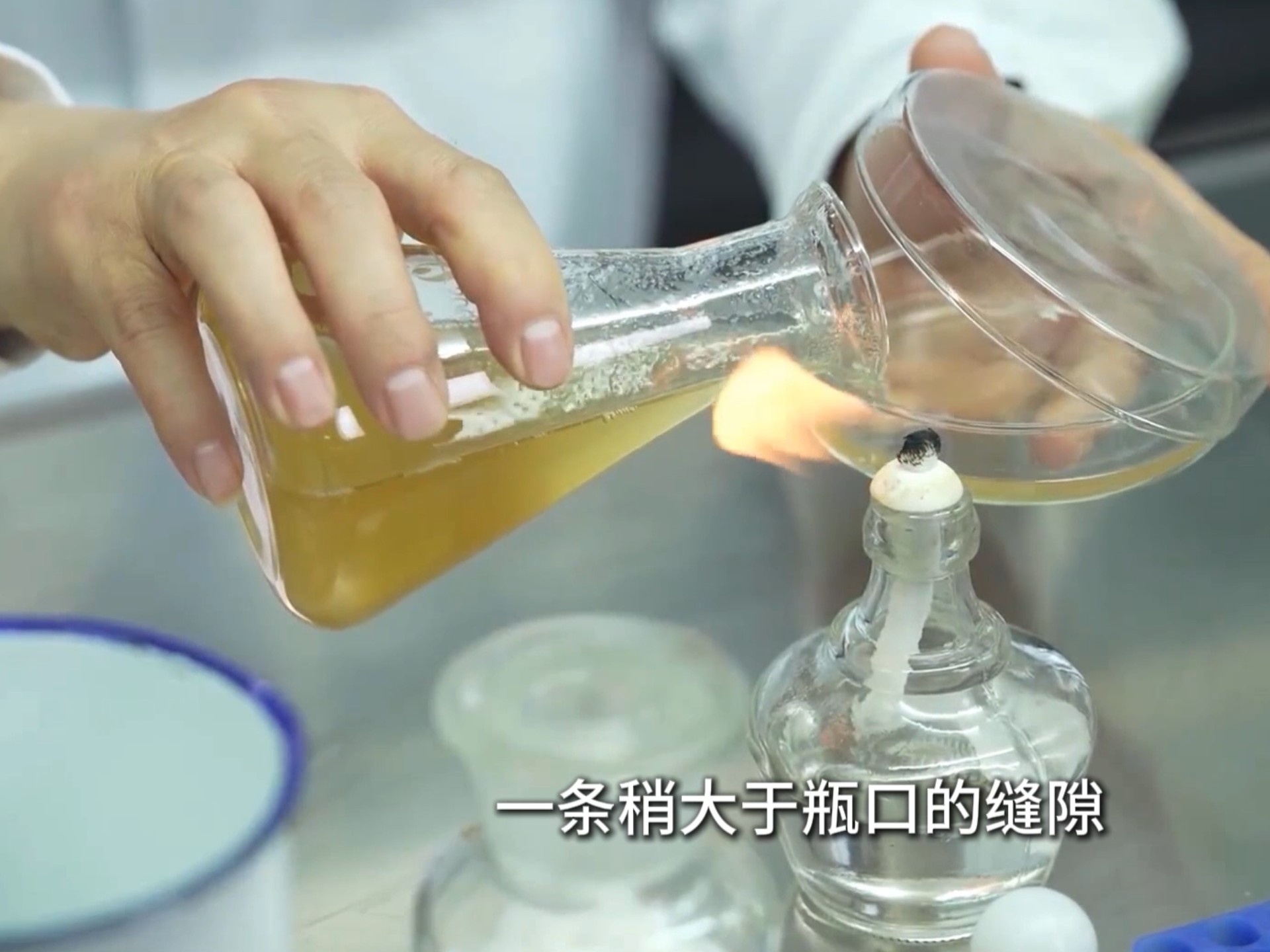 酵母菌的纯培养—倒平板