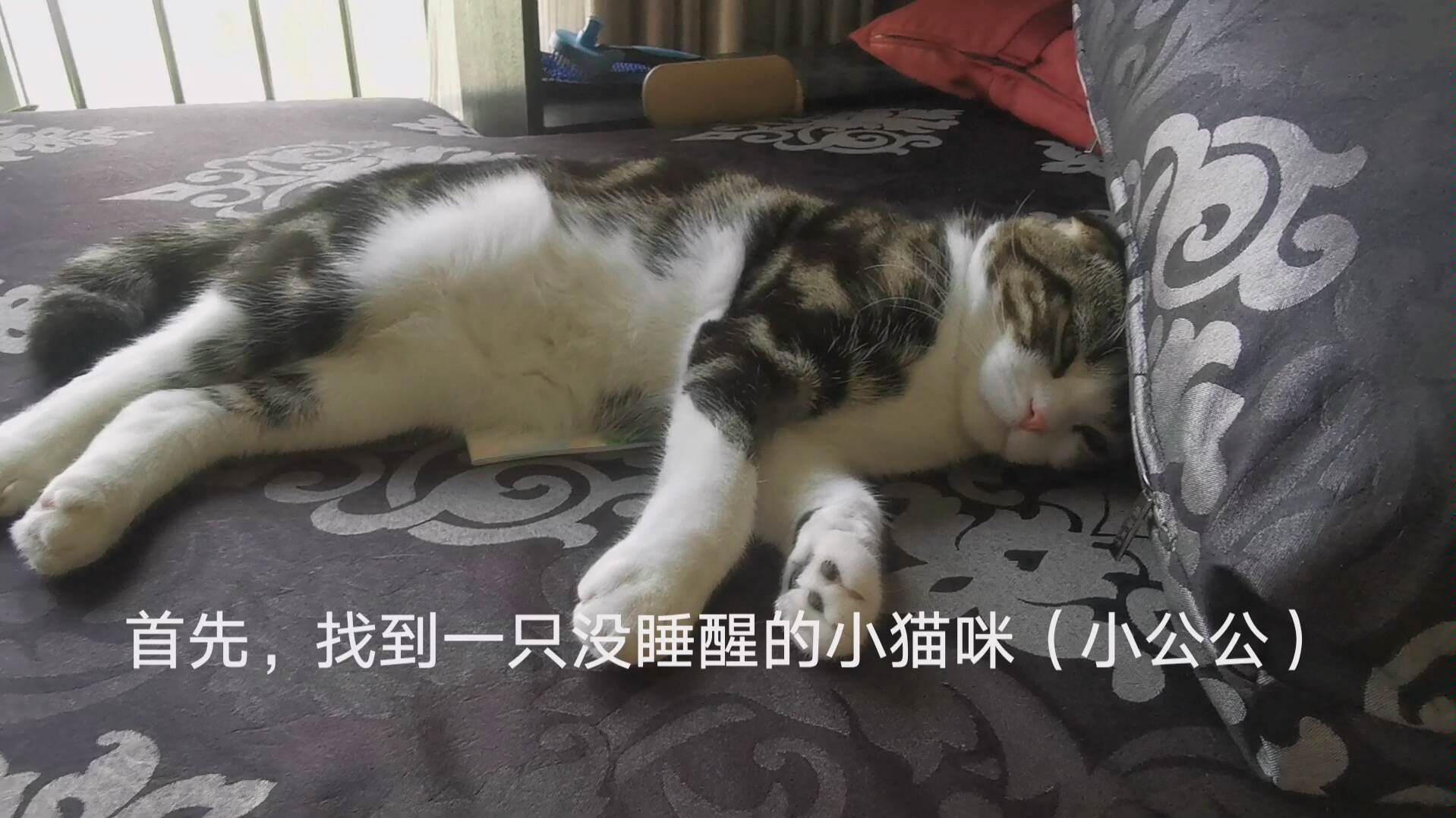 挠女生意思脚心说14843女生什么图片