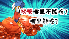 01d5d1c41a7fcecab5f0fa5fa11b546cf3431e96.jpg@280w_158h_1c_100q.jpg