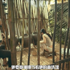 人性与欲望交织的伦理片，既有深度又有尺度，值得珍藏在E盘