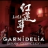 【MV留档】紅蓮華 / LiSA [Covered by GARNiDELiA]