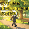 步行开始燃烧内脏脂肪的确切时刻（科学解释