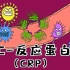 手绘漫画 |炎症指标： C-反应蛋白（CRP）