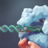 Nature Video: CRISPR: Gene editing and beyond - YouTube搬运 - 