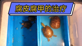 020f12202d0ba021ed95baa9249378f9a5ccacd2.jpg@280w_158h_1c_100q.jpg