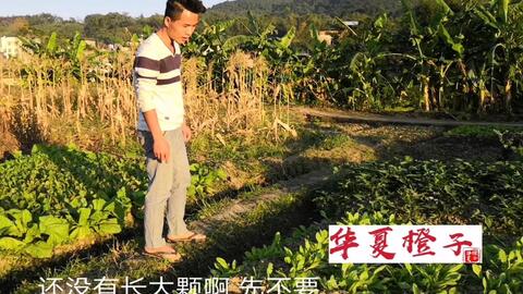 02100db15ce2ba5396514c2b24a6e50a3280768d.jpg@480w_270h_1c