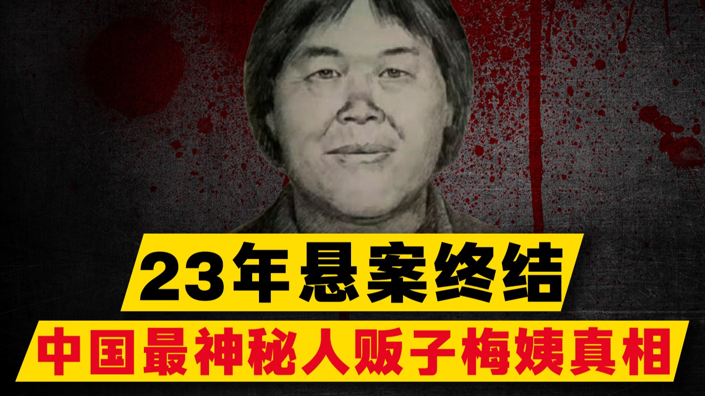 全案还原追凶纪录！躲过14亿人与天网系统，人贩子「梅姨」终于落网
