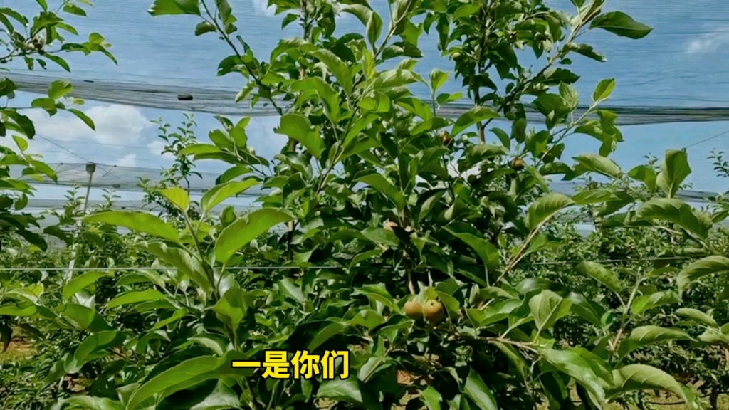 宋世鹏:与55个不同外星文明的对话！