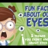 关于眼睛的有趣事实 Fun facts about our eyes