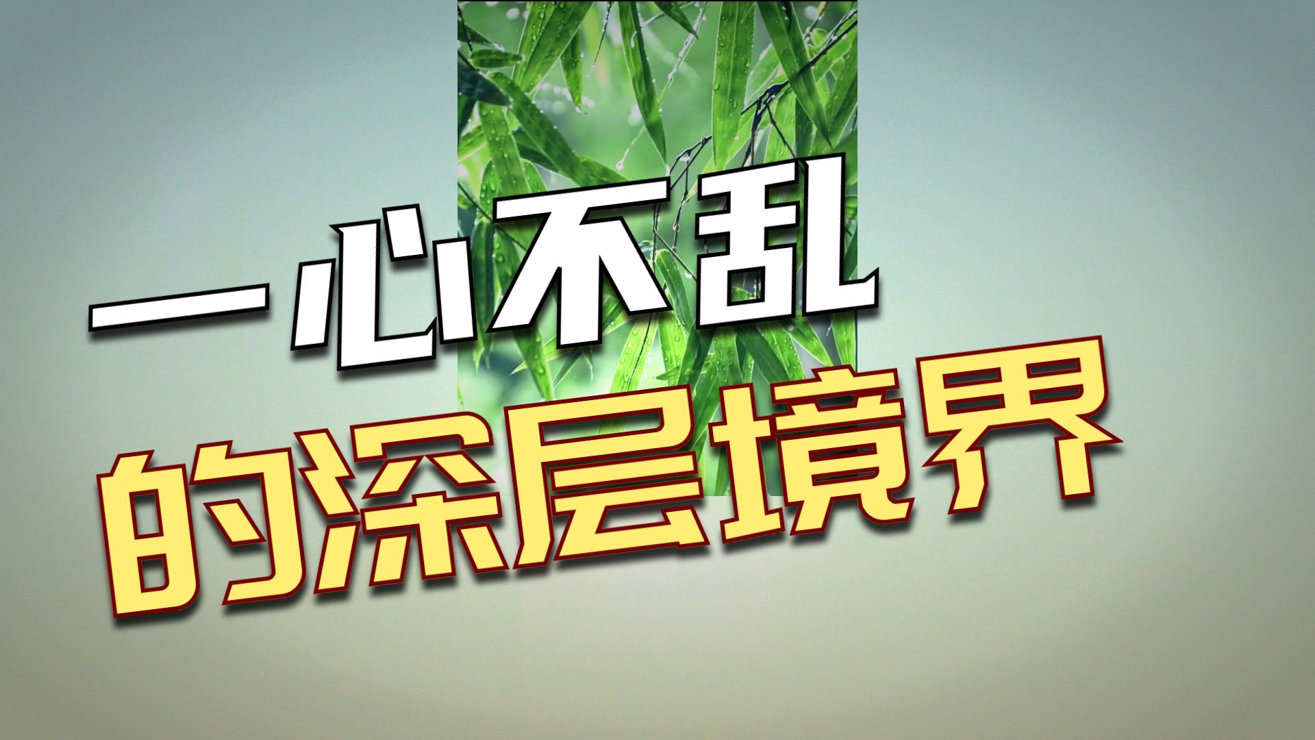 体佛法师开示：一心不乱