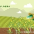 农业农药农产品 化肥料产品 功能介绍广告周年宣传MG动画