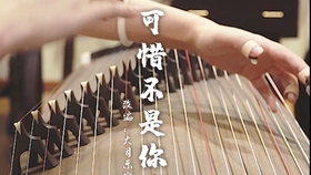 天谕古筝曲谱大全_天谕古筝不染曲谱