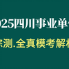 2025上四川省属事业单位联考《综测》专项模考解析